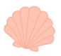Pink beach shell artwork